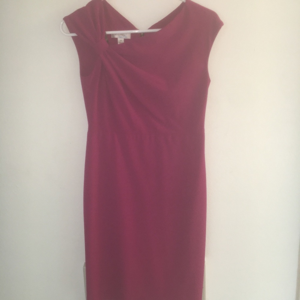 Ivy and blu maggy boutique pink dress